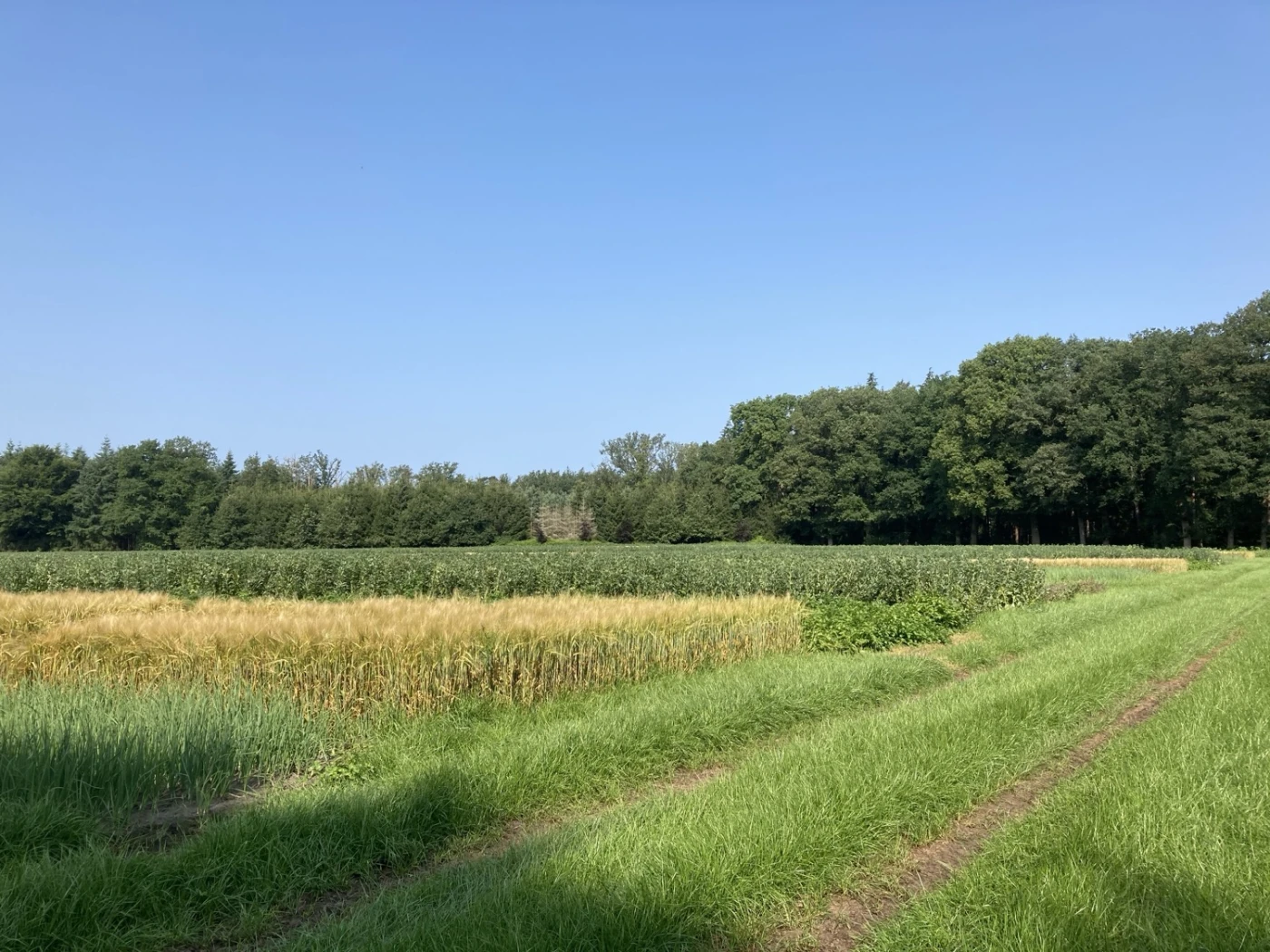 img_4597