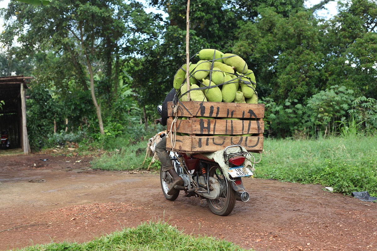 Processing fiberfoods PrimeJack® East Africa
