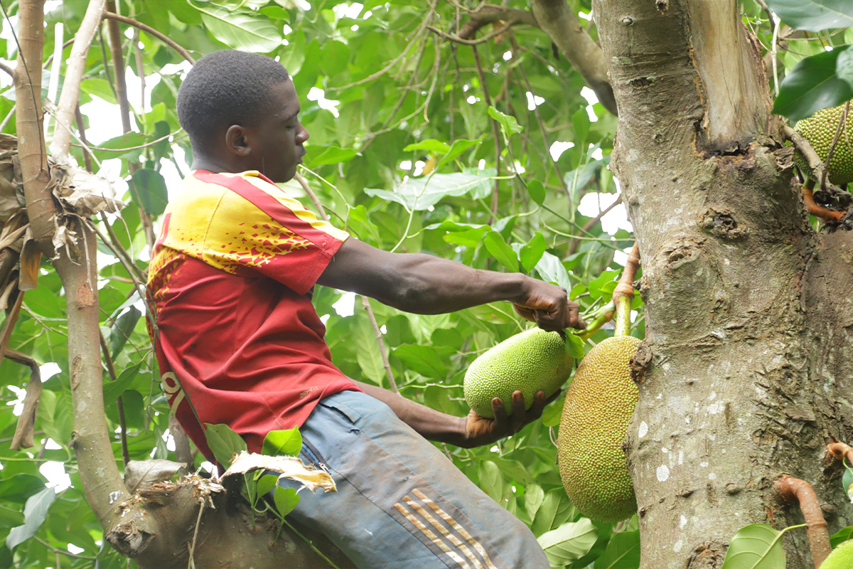 Processing fiberfoods PrimeJack®