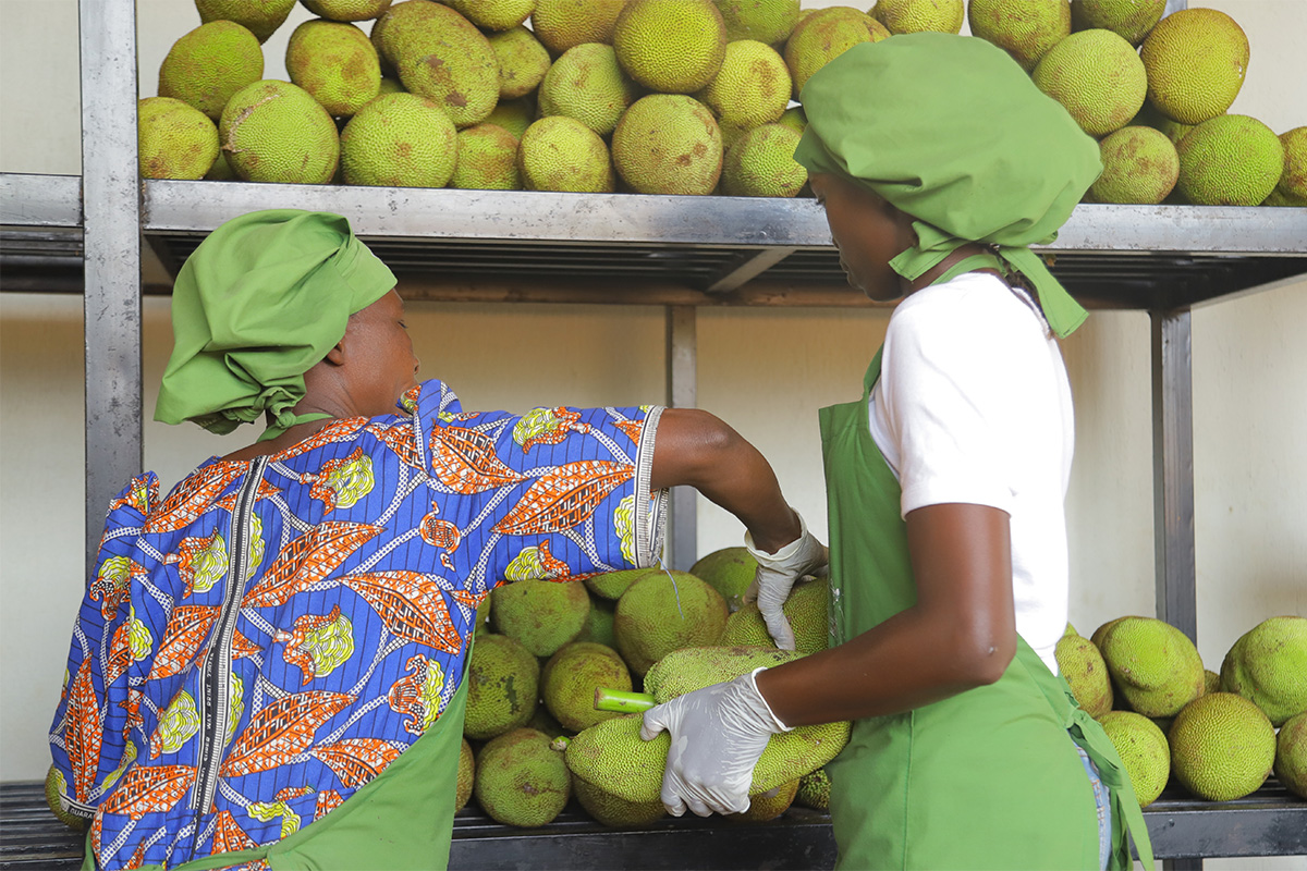 providing employment opportunities and processing fiberfoods PrimeJack®