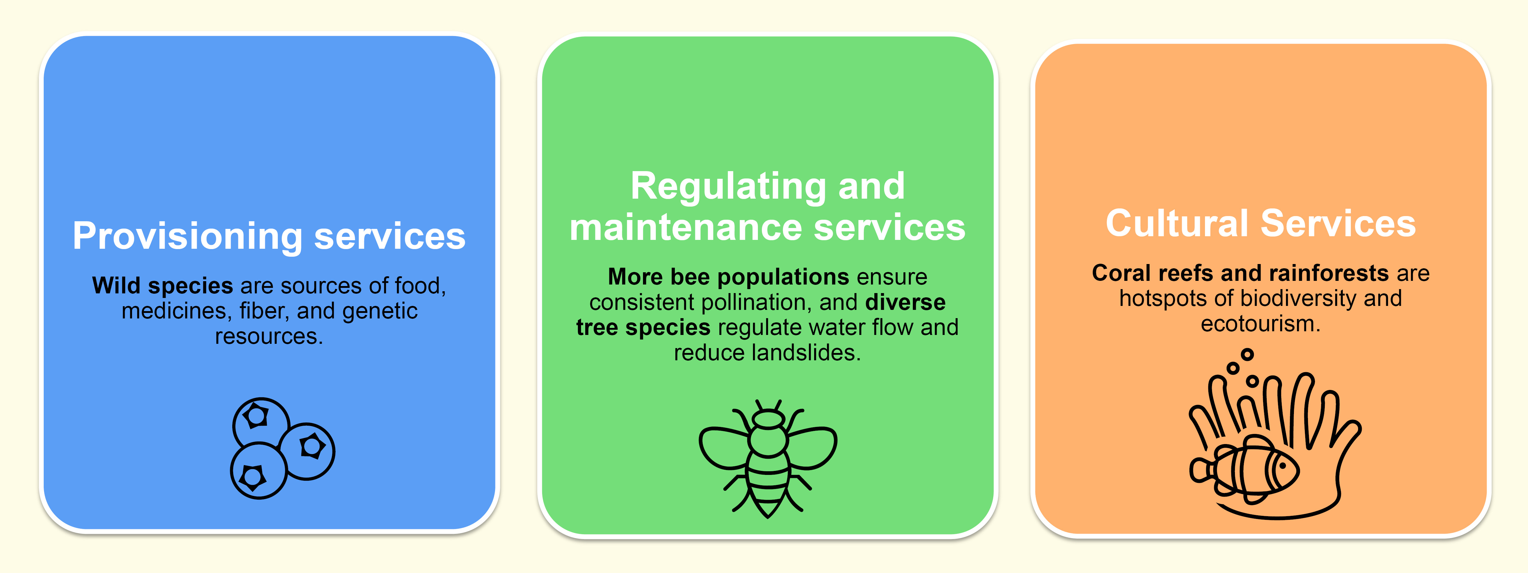 biodiversity-as-a-living-infrastructure-1