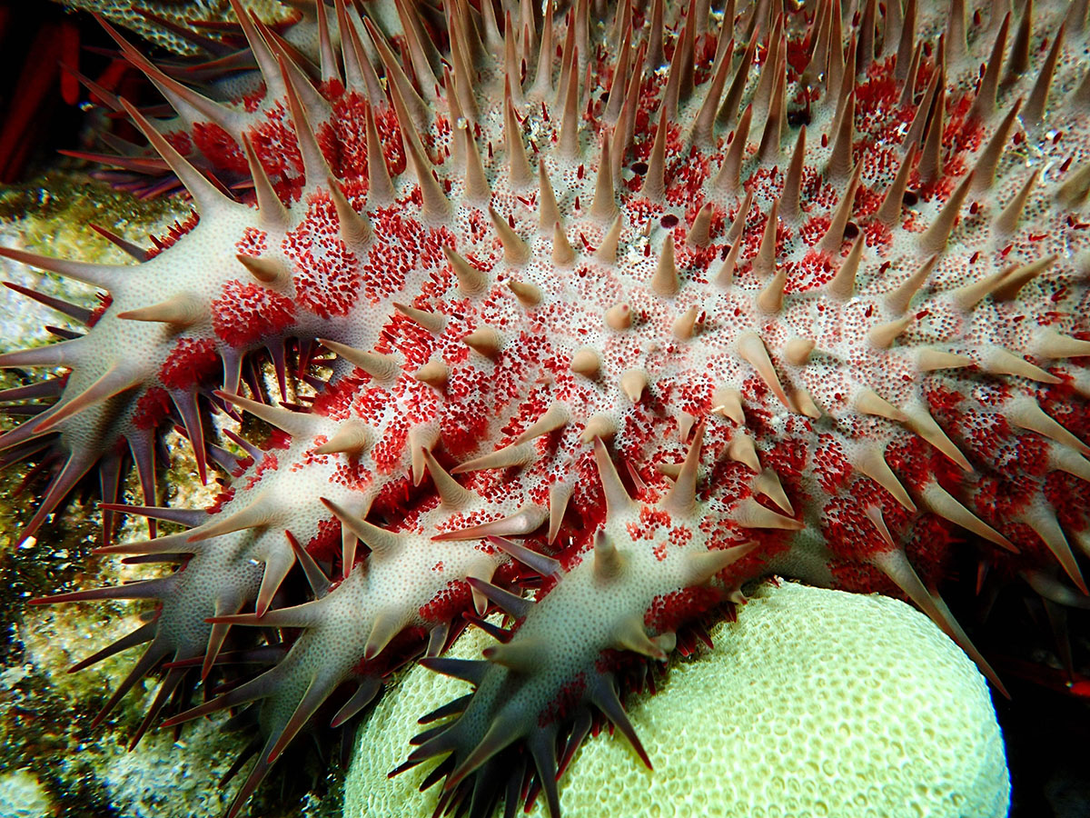 biodiversity-day-insight
