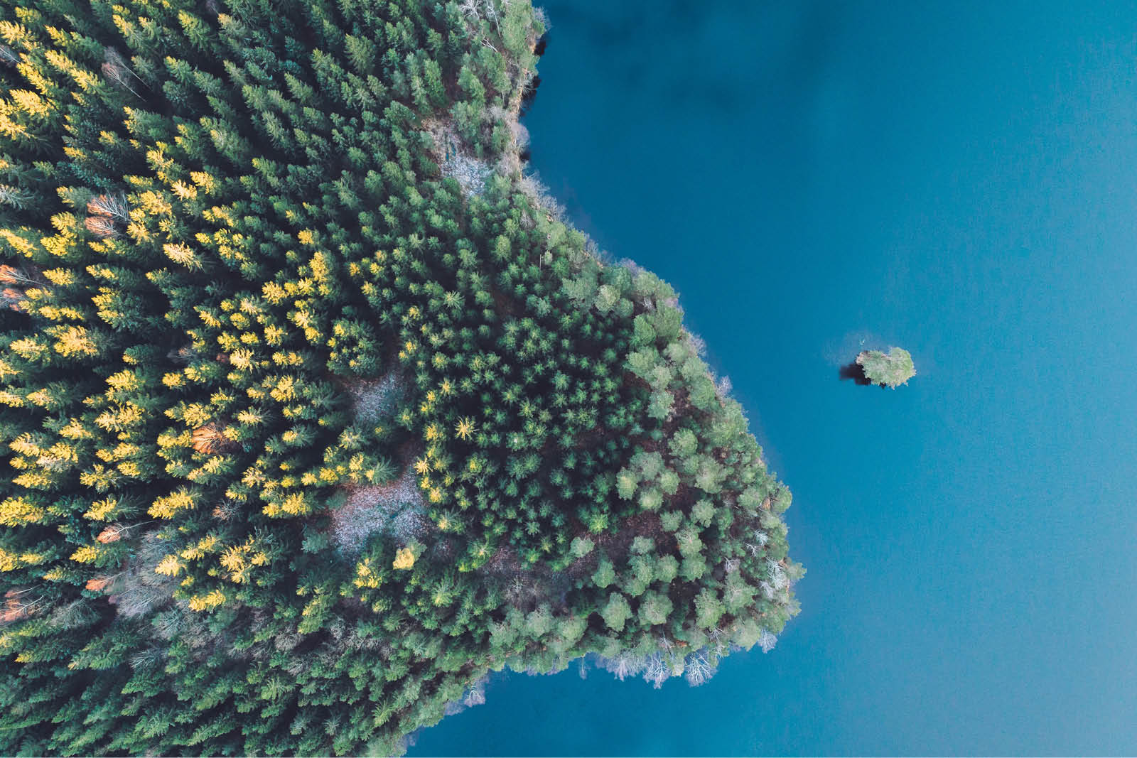 insight-new-carbon-policy