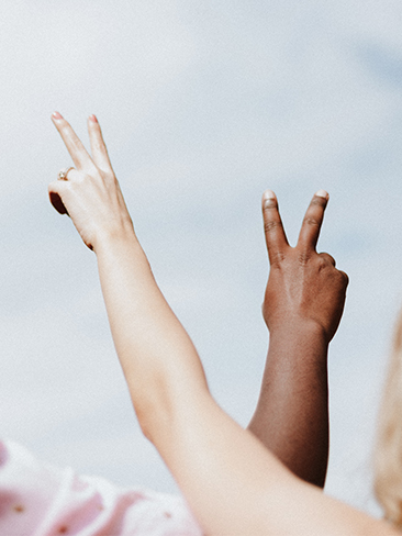 preview-insight-green-transition