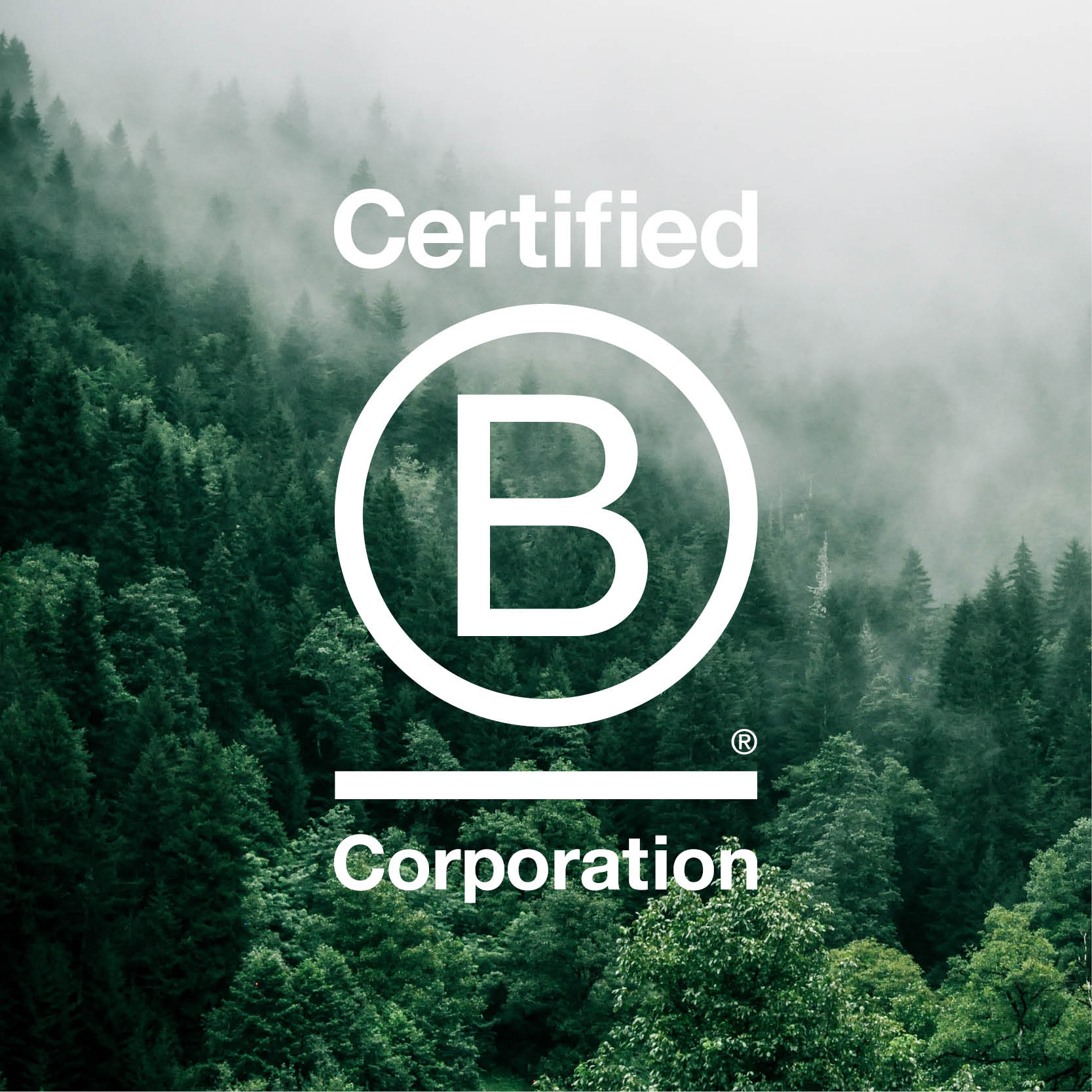 VP Capital certified B Corp