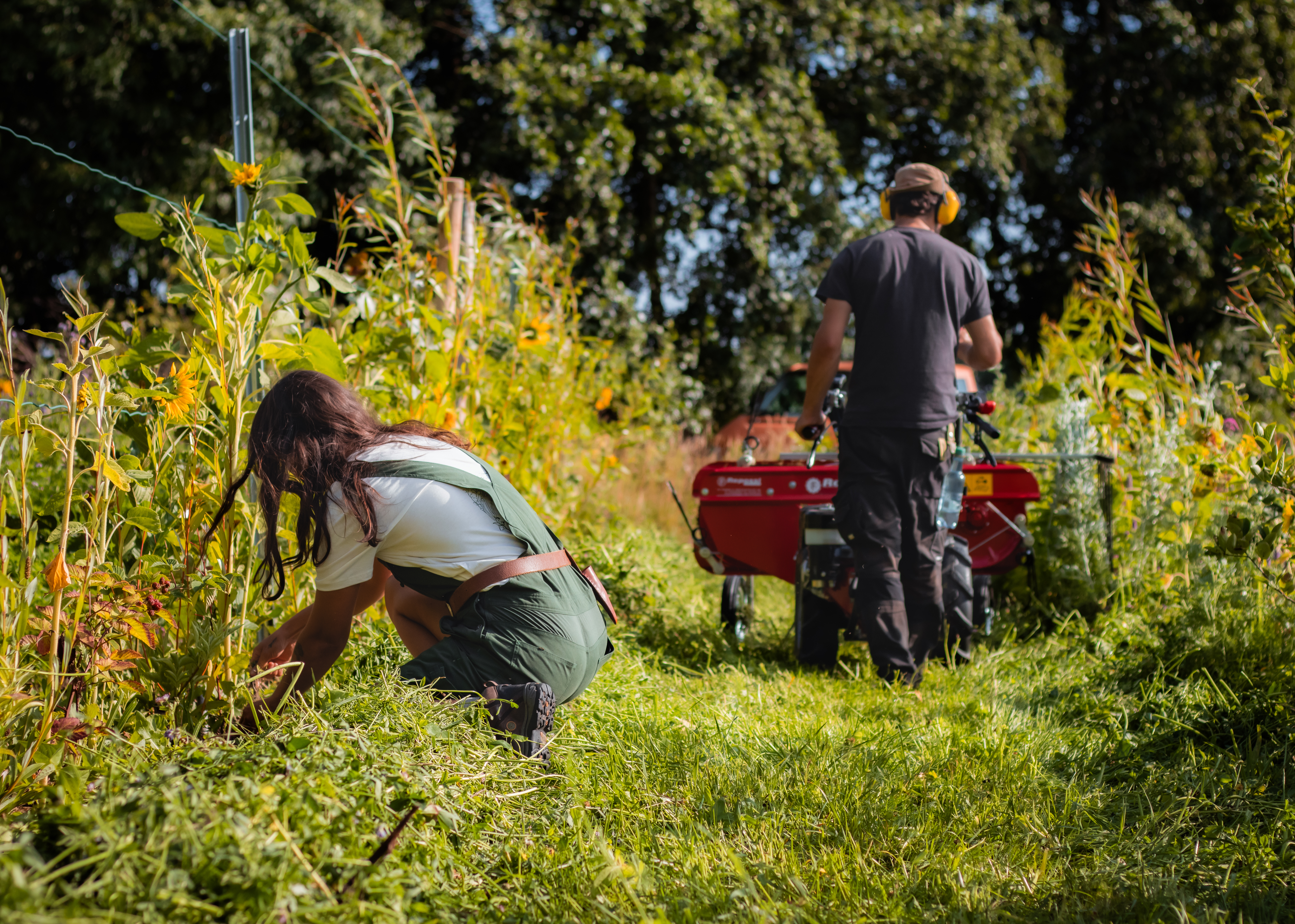 copy-of-de-bosboerderij-photos-18