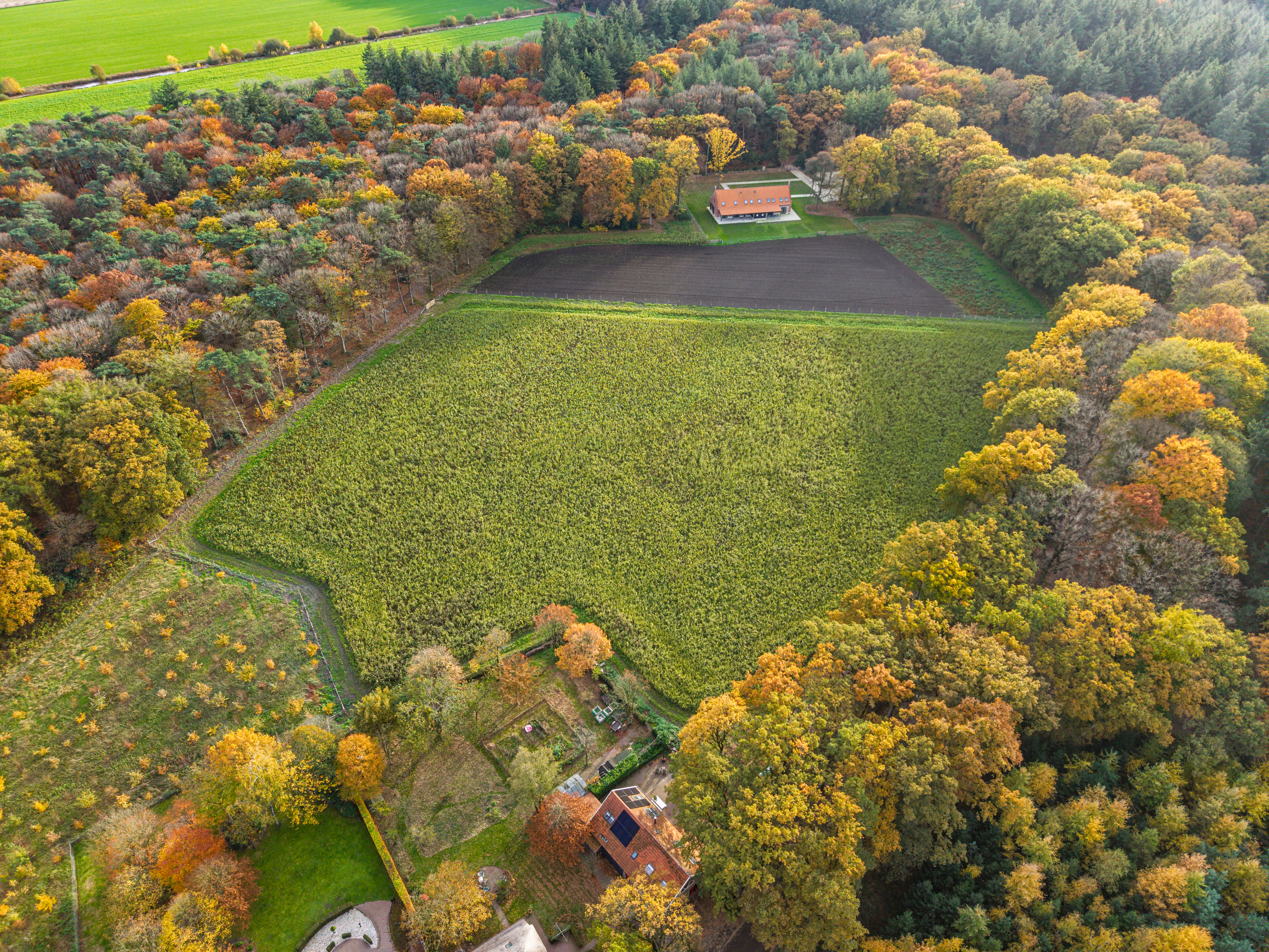 dji_20251106152735_0002_d_koen-bakx