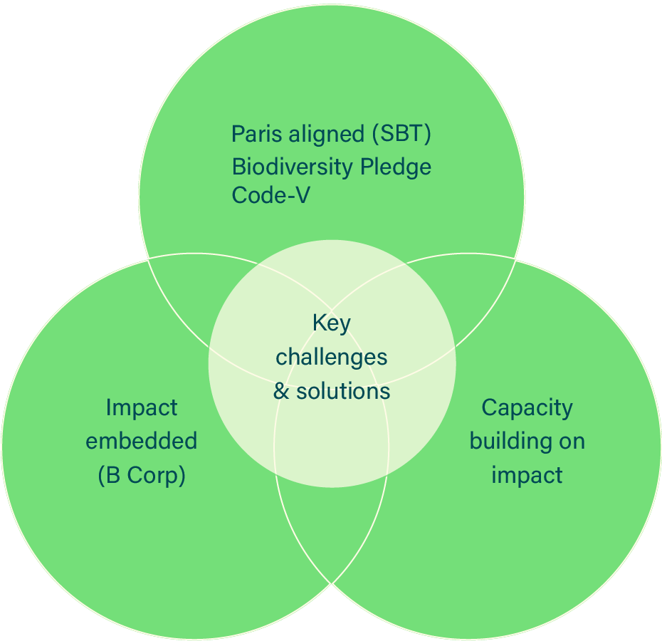 impact-cirkels-v-code-1-03