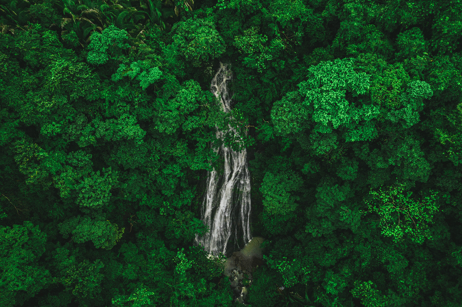 alonso-reyes-544dkftompa-unsplash-edited
