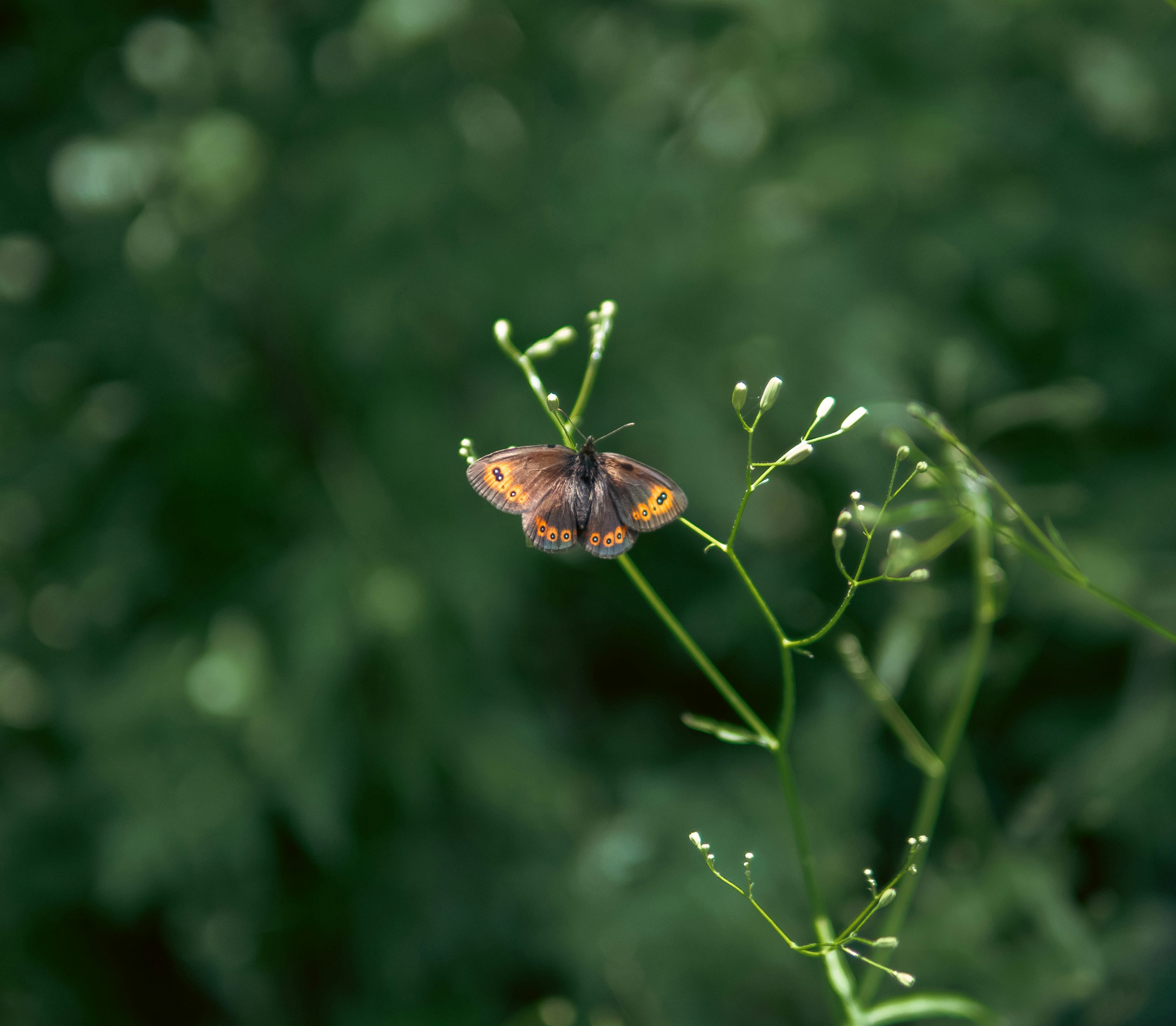 nikola-sivkov-gwv9crczp8g-unsplash