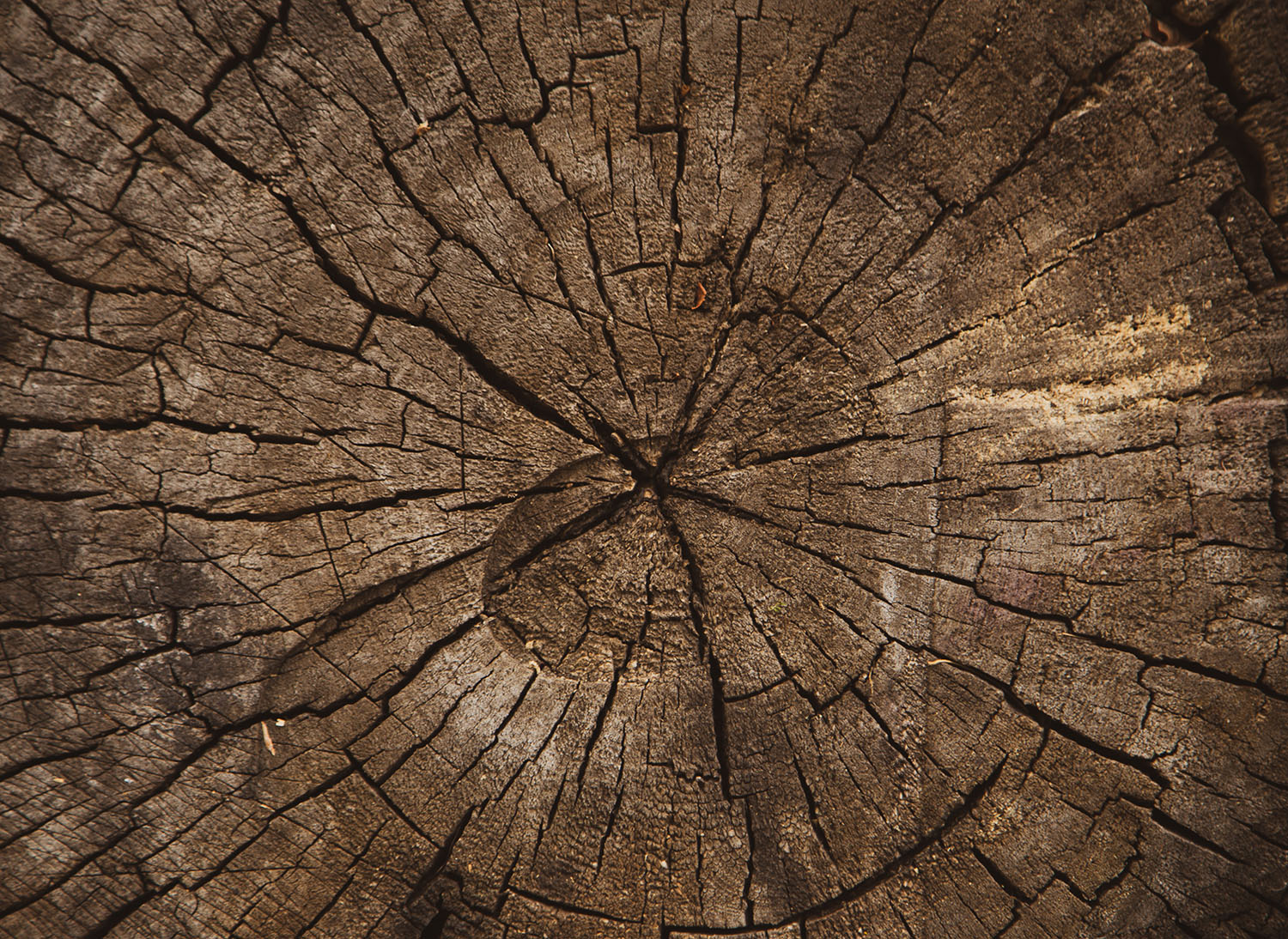 volodymyr-hryshchenko-6ytoaq-pyhy-unsplash-copy
