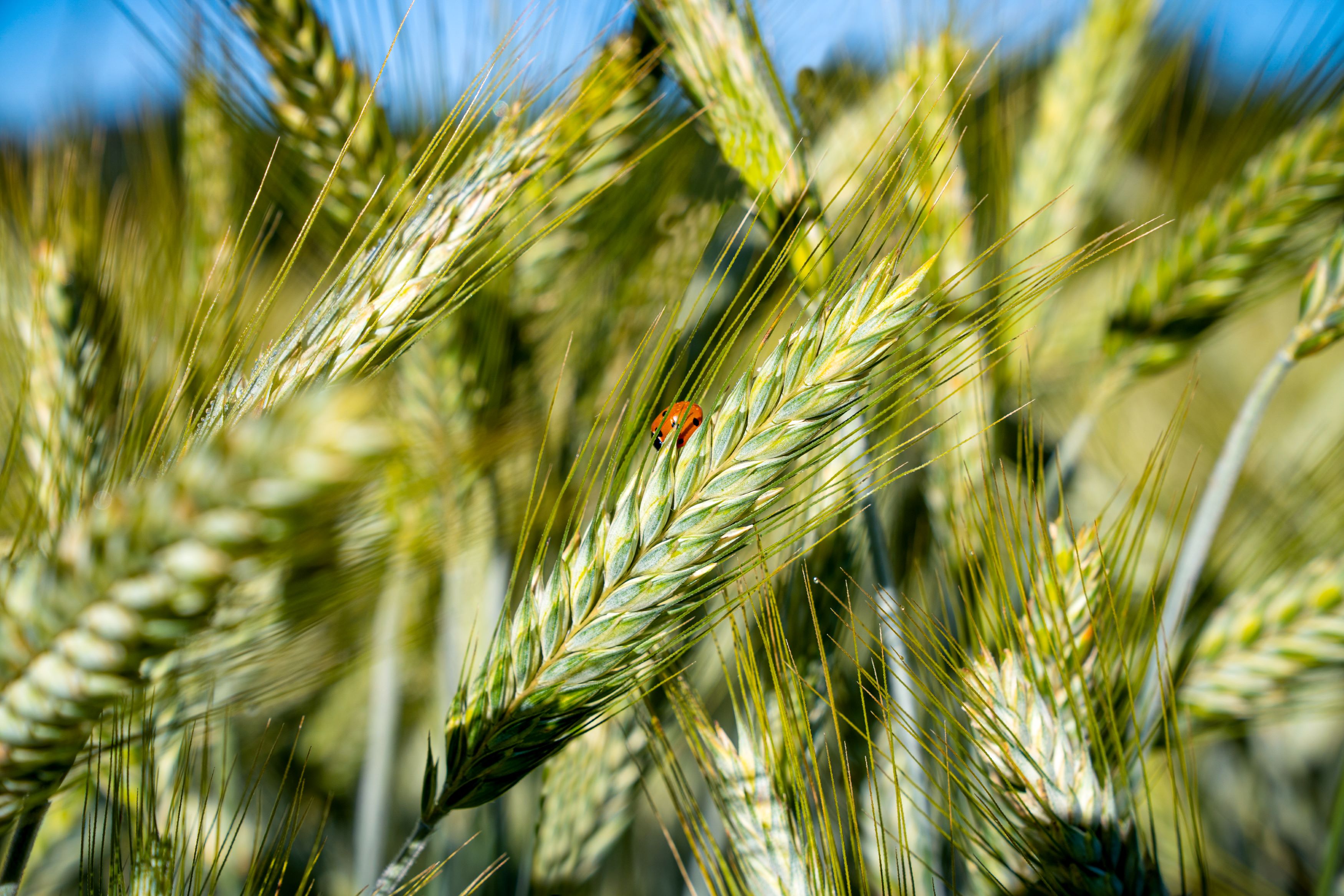 vp-bewerkt-04195-(3)-lowres