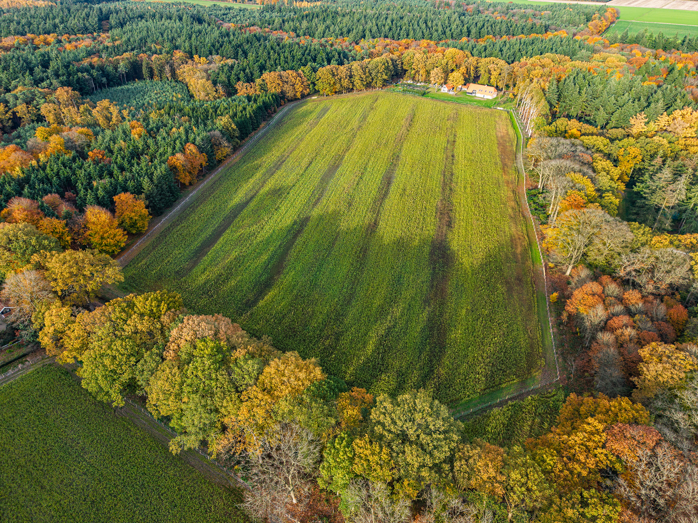 vp-ecofood-landgoed-3